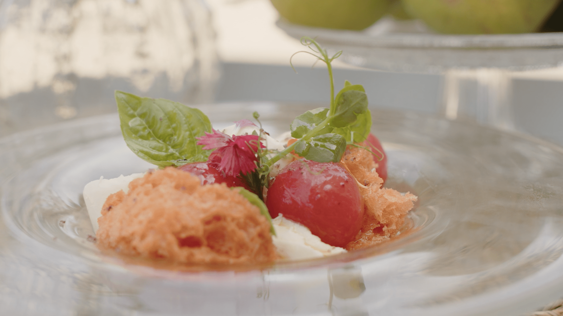 Ensalada de texturas de tomate con sorbete de aceite