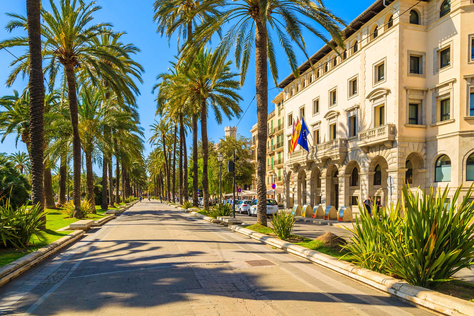 Paseo Martítimo, Palma de Mallorca en Abril