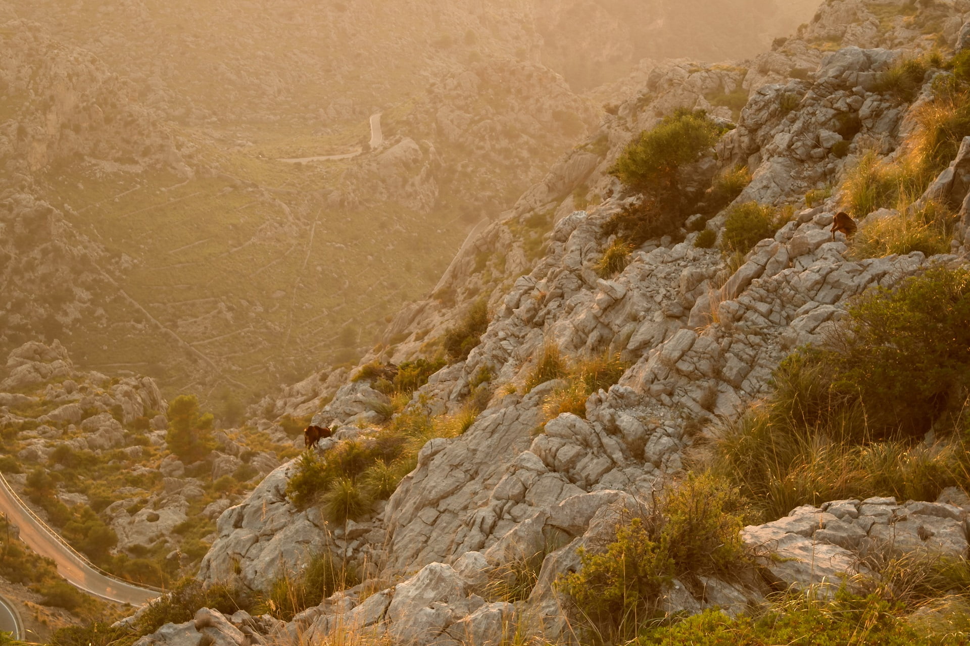 Mallorca en noviembre