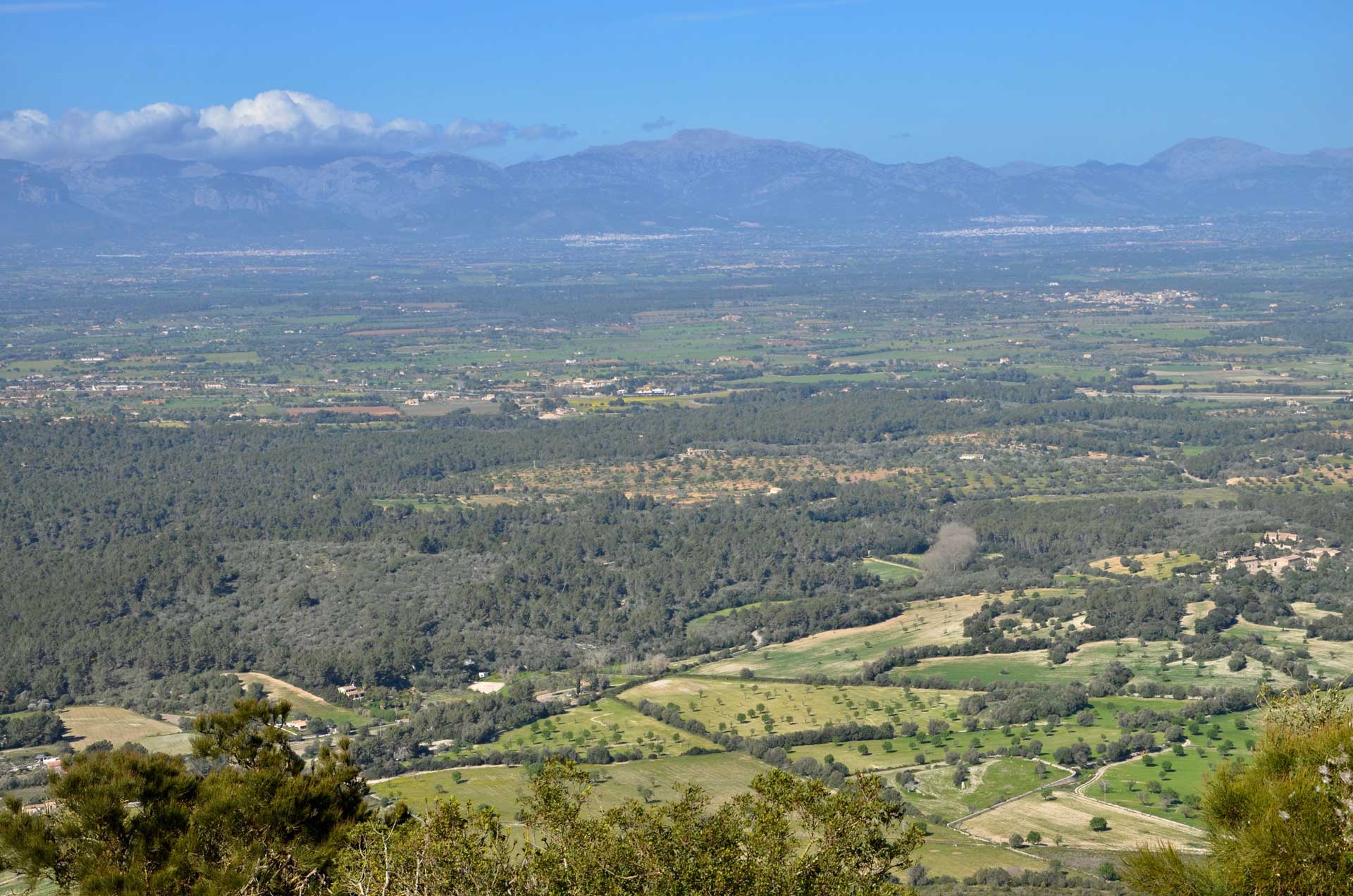 Rutas senderistas en el Pla de Mallorca, senderismo en Mallorca