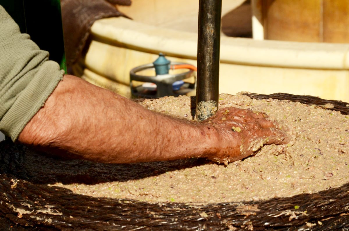 Kaltpressung von olivenoel. Olivenpaste für Öl.