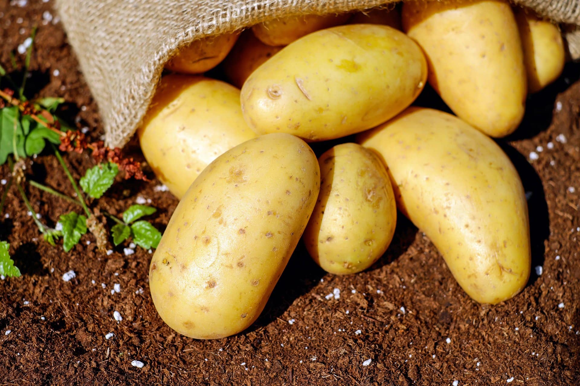 receta de patatas al horno